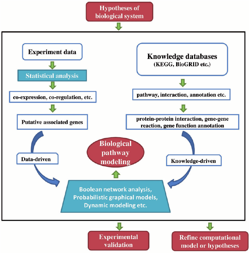 Biomedical diagnostic process flowchart